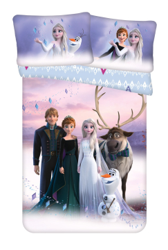 Disney povlečení do postýlky Frozen "Elements" baby 100x135, 40x60 cm